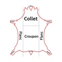 Collet CROCODILE - TOSCANA - Tannage Végétal - Naturel - Épaisseur ± 2mm (copie)