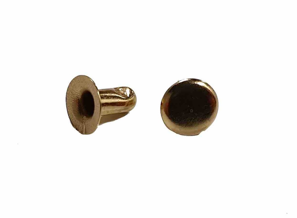 Lot de 100 Rivets Simple Calotte - Dorés - 6 x 6 mm - SANS NICKEL - IVAN