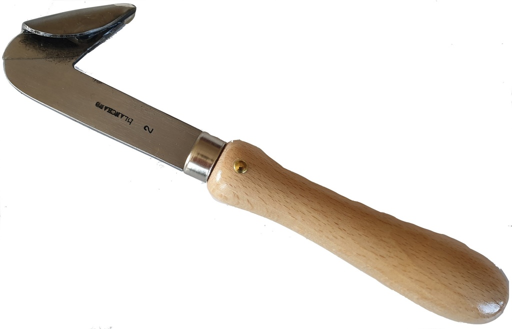 [RAINN2MABO] Rainette Simple N°2 Manche Bois - VERGEZ-BLANCHARD