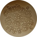 S.N. 68 KIT - Peau de Crapaud - Matoir à Frapper