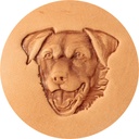 S.N. 332 - Chien - Matoir à Frapper