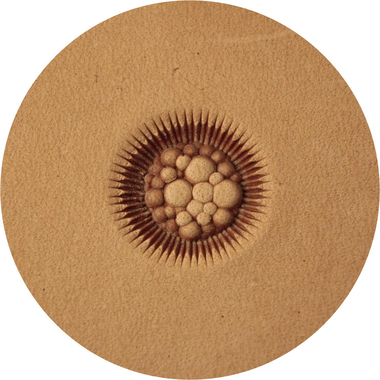 S.N. 320 - Centre de fleur - Matoir à Frapper